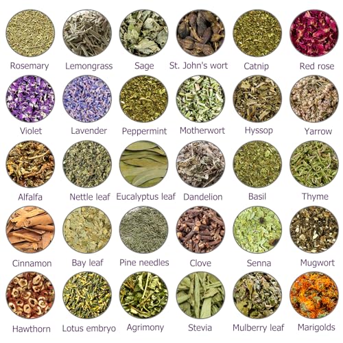 Witchcraft Supplies Herbs Kit for Witch Beginners - 30 Pack Different Dried Herbs for Wicca, Pagan and Wiccan Rituals, Altar Supplies, Magic Spells, Soap Making，with Metal Spoon