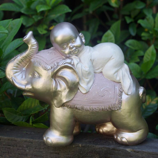 Baby Monk on Elephant